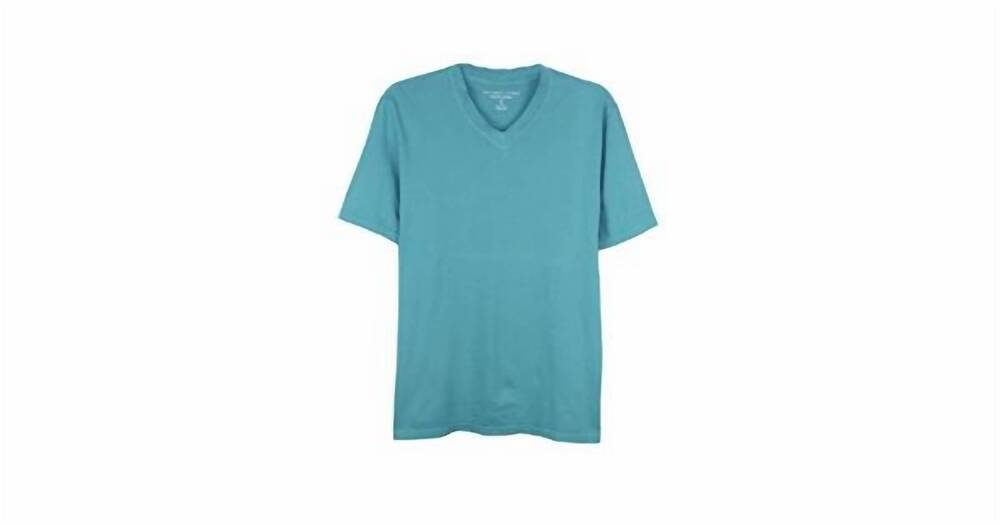 NEW THE MEN'S STORE AT BLOOMINGDALE'S men's cotton v neck tee in seafoam blue